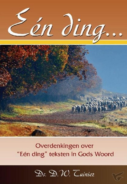 Productafbeelding: voorkant van Een ding