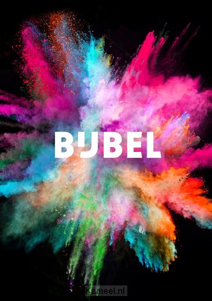Productafbeelding: voorkant van NBV21 Tienerbijbel (groen)
