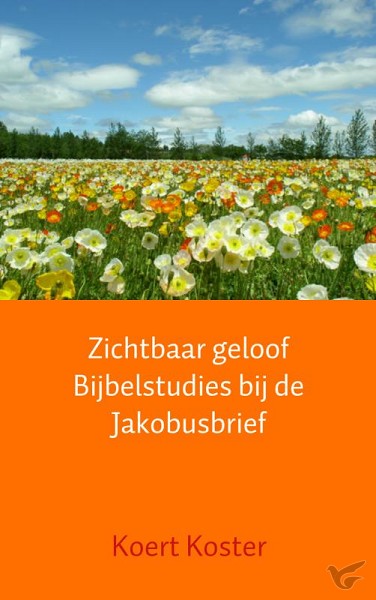 Productafbeelding: voorkant van Zichtbaar geloof