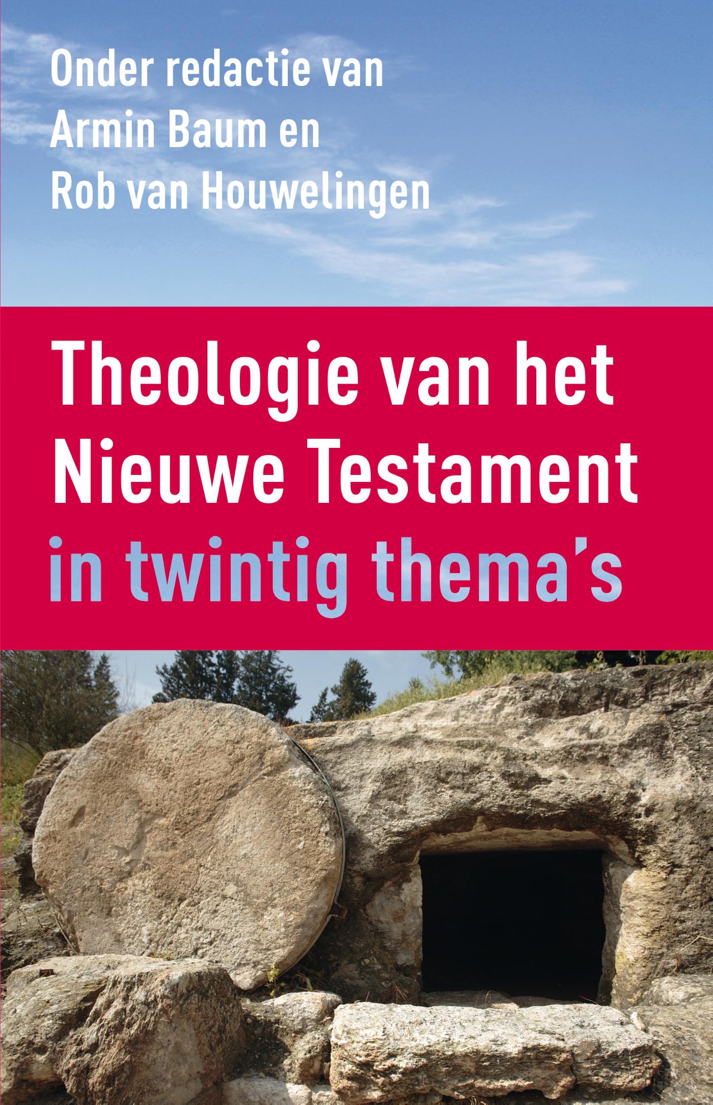 Productafbeelding: voorkant van Theologie van het Nieuwe Testament
