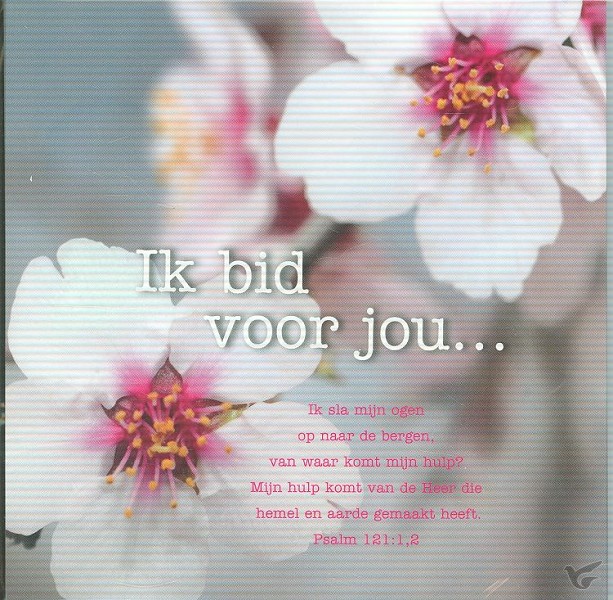 Productafbeelding: voorkant van Kaart ik sla mijn ogen