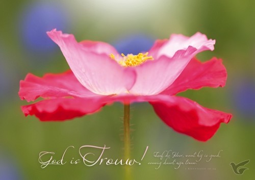 Productafbeelding: voorkant van Poster 50x70 God is getrouw