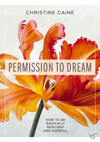 Productafbeelding: voorkant van Permission to dream