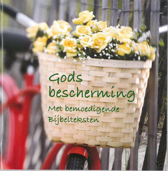 Productafbeelding: voorkant van Gods bescherming
