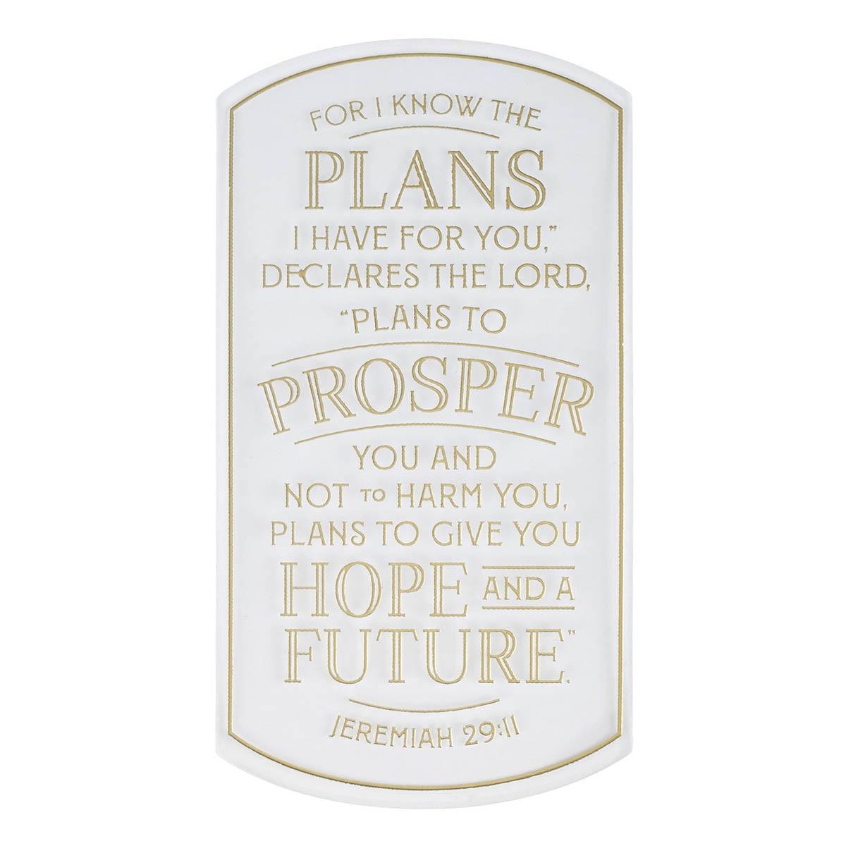 Productafbeelding: voorkant van Hope & A Future Jer. 29:11 Sticker Vinyl