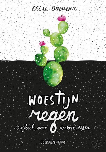 Productafbeelding: voorkant van Woestijnregen