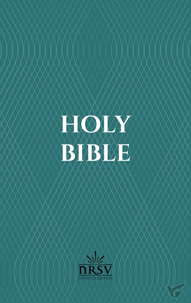 Productafbeelding: voorkant van NRSV - Economy Bible - Updated