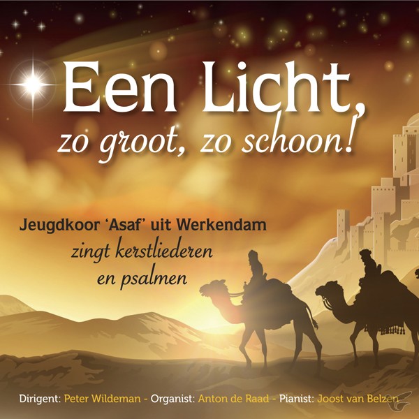 Productafbeelding: voorkant van Een licht, zo groot, zo schoon