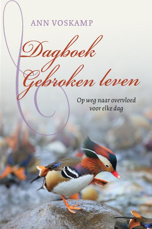 Productafbeelding: voorkant van Dagboek Gebroken leven