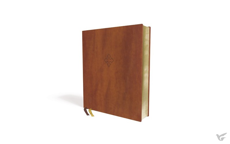 Productafbeelding: voorkant van Amplified XL Edition Bible