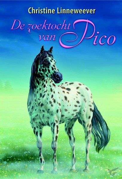 Productafbeelding: voorkant van Zoektocht van pico