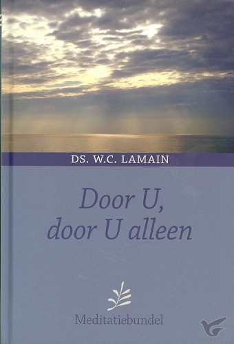 Productafbeelding: voorkant van Door U door U alleen