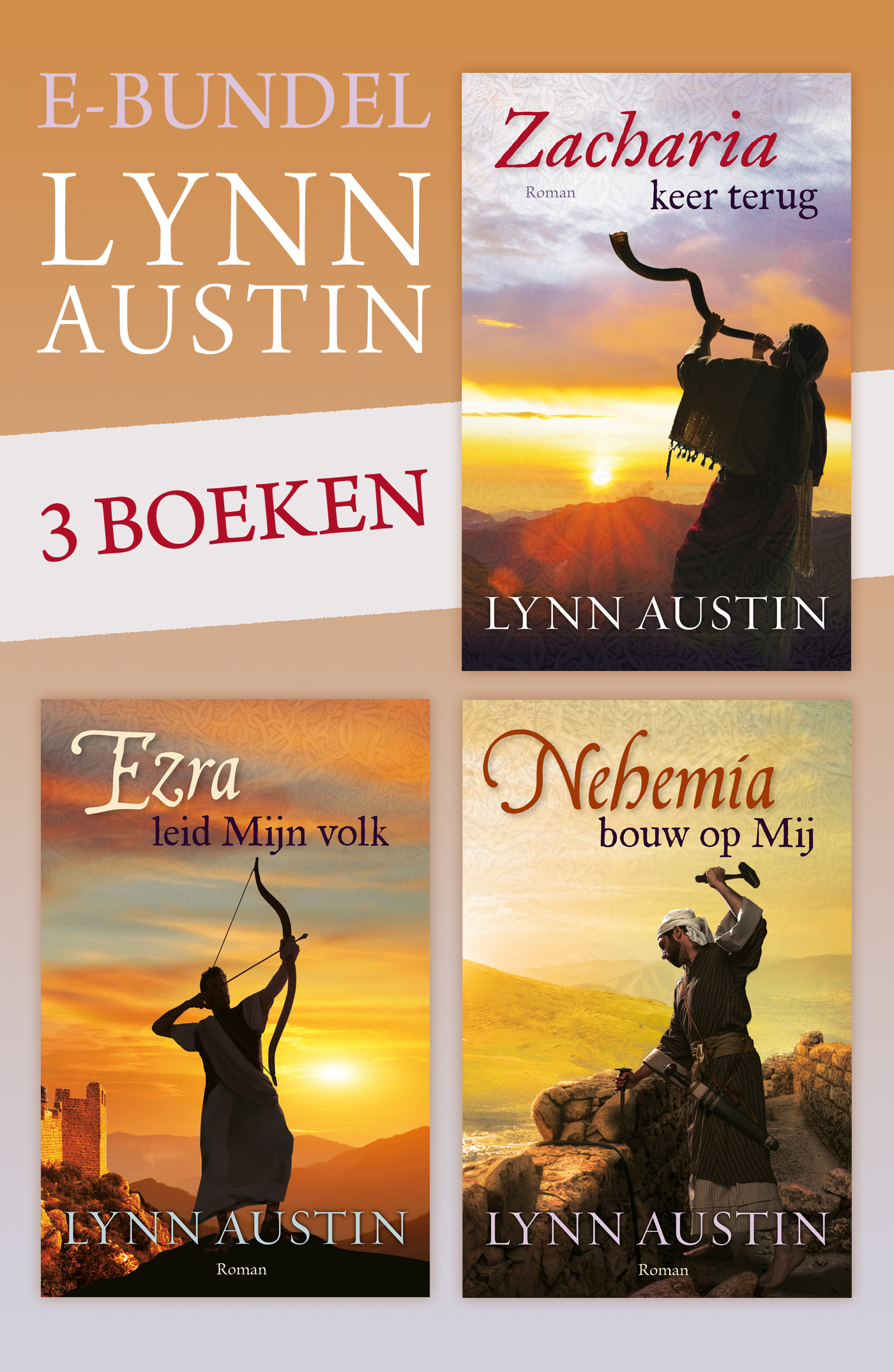 Productafbeelding: voorkant van E-bundel Lynn Austin