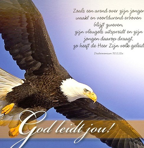 Productafbeelding: voorkant van Prentbriefkaart God leidt jou
