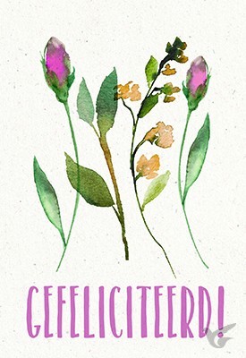 Productafbeelding: voorkant van Wenskaart gefeliciteerd!