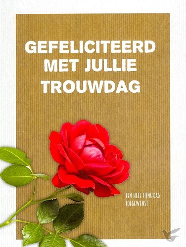 Productafbeelding: voorkant van Kaart gefeliciteerd met jullie trouwdag
