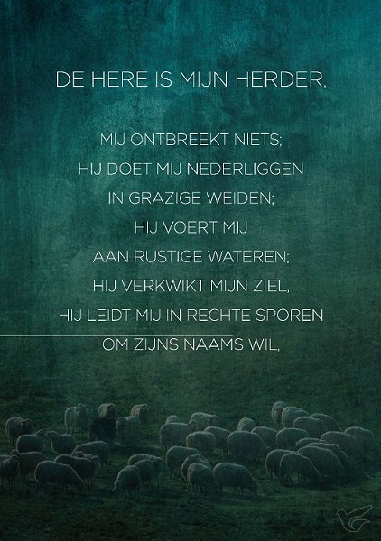 Productafbeelding: voorkant van Wenskaart De Here is mijn Herder