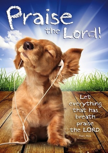 Productafbeelding: voorkant van Poster A3 praise the Lord