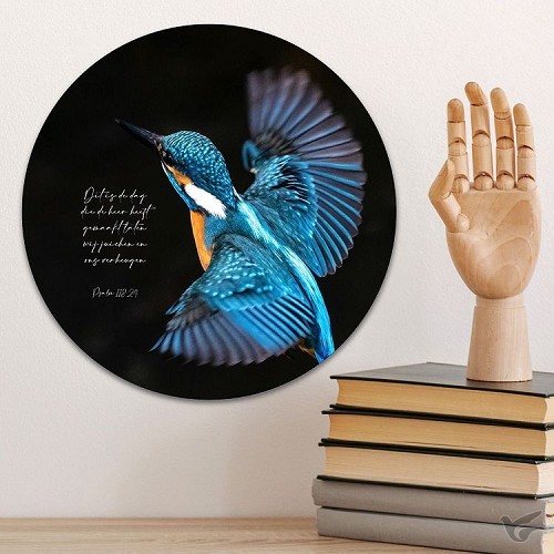 Productafbeelding: voorkant van IJsvogel