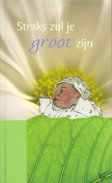 Productafbeelding: voorkant van Straks zul je groot zijn