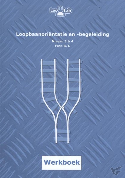 Productafbeelding: voorkant van Loopbaanorientatie en begeleiding werkb