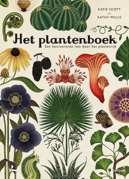 Productafbeelding: voorkant van Het plantenboek