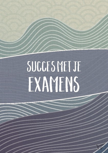 Productafbeelding: voorkant van Wenskaart succes met je examens