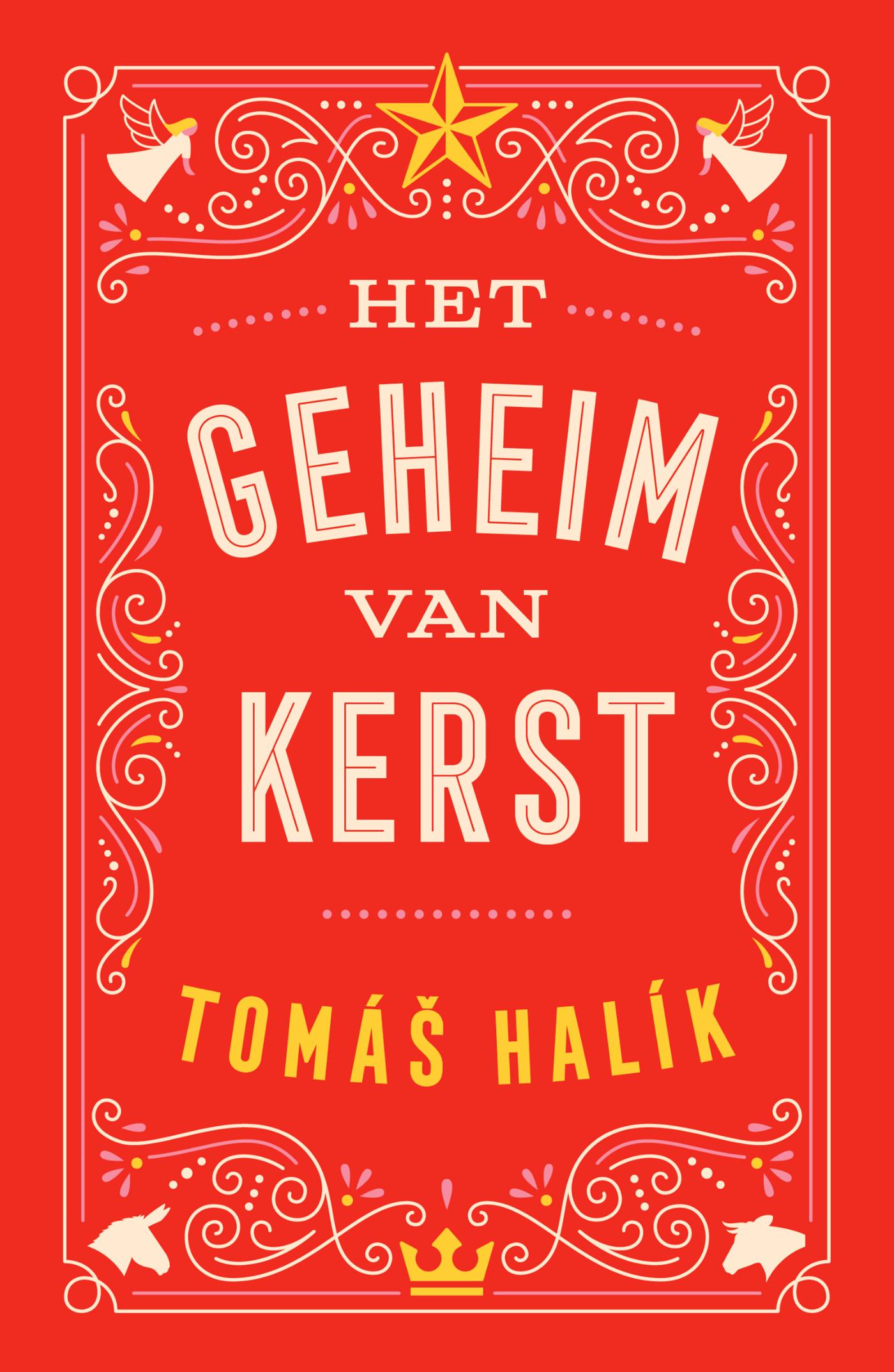 Productafbeelding: voorkant van Het geheim van Kerst