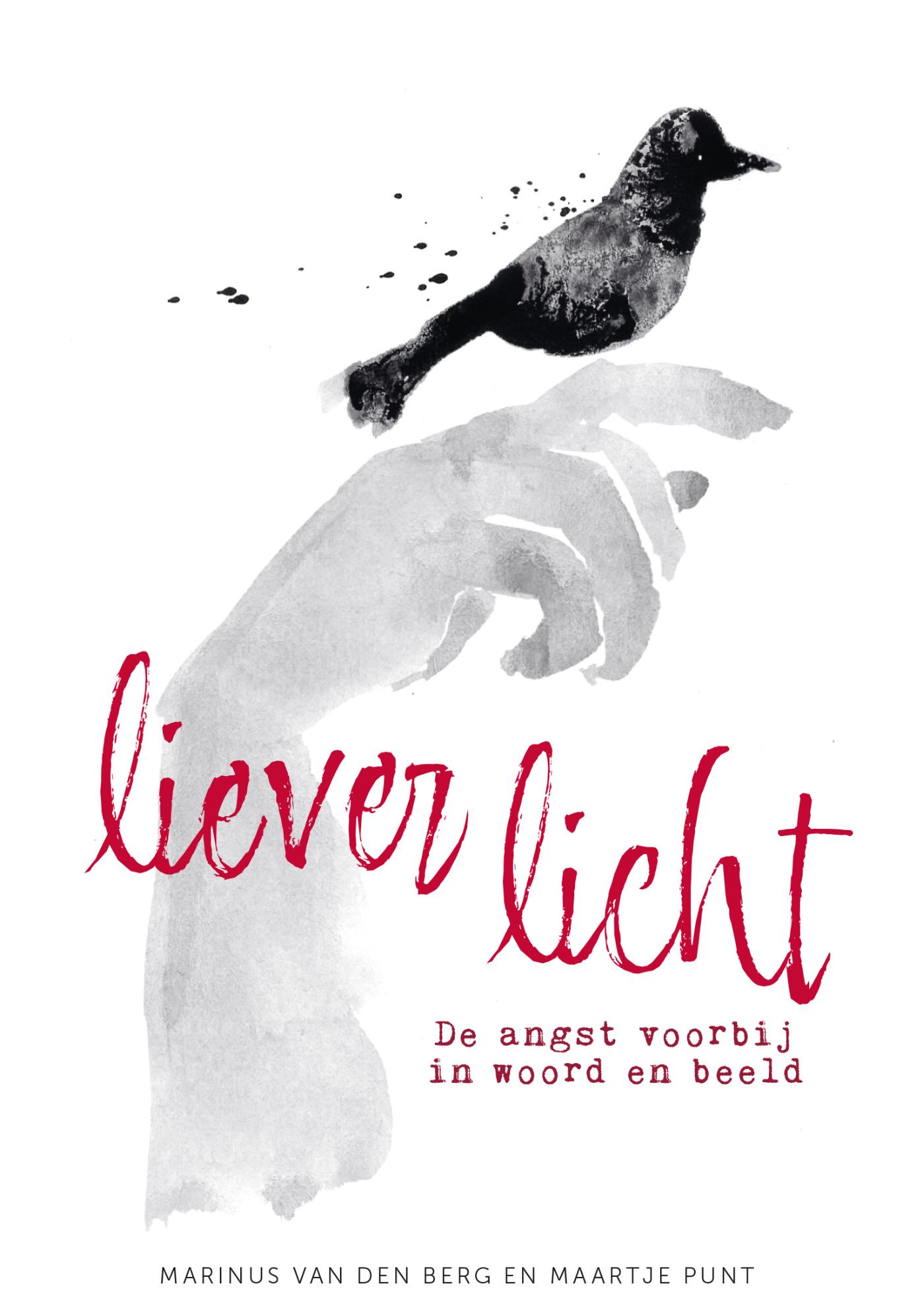 Productafbeelding: voorkant van Liever licht