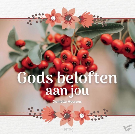 Productafbeelding: voorkant van Gods beloften aan jou