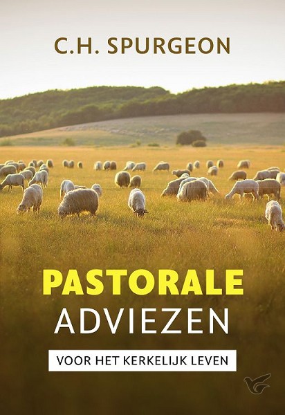 Productafbeelding: voorkant van Pastorale adviezen