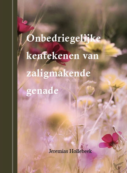 Productafbeelding: voorkant van Onbedrieglijke kentekenen van zaligmaken