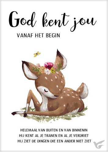 Productafbeelding: voorkant van Kaart Hertje God kent jou