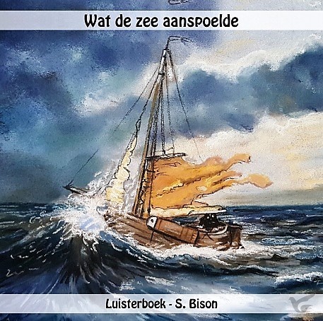 Productafbeelding: voorkant van Wat de zee aanspoelde  LUISTERBOEK