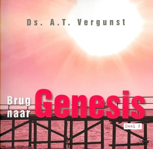 Productafbeelding: voorkant van Brug naar genesis 3