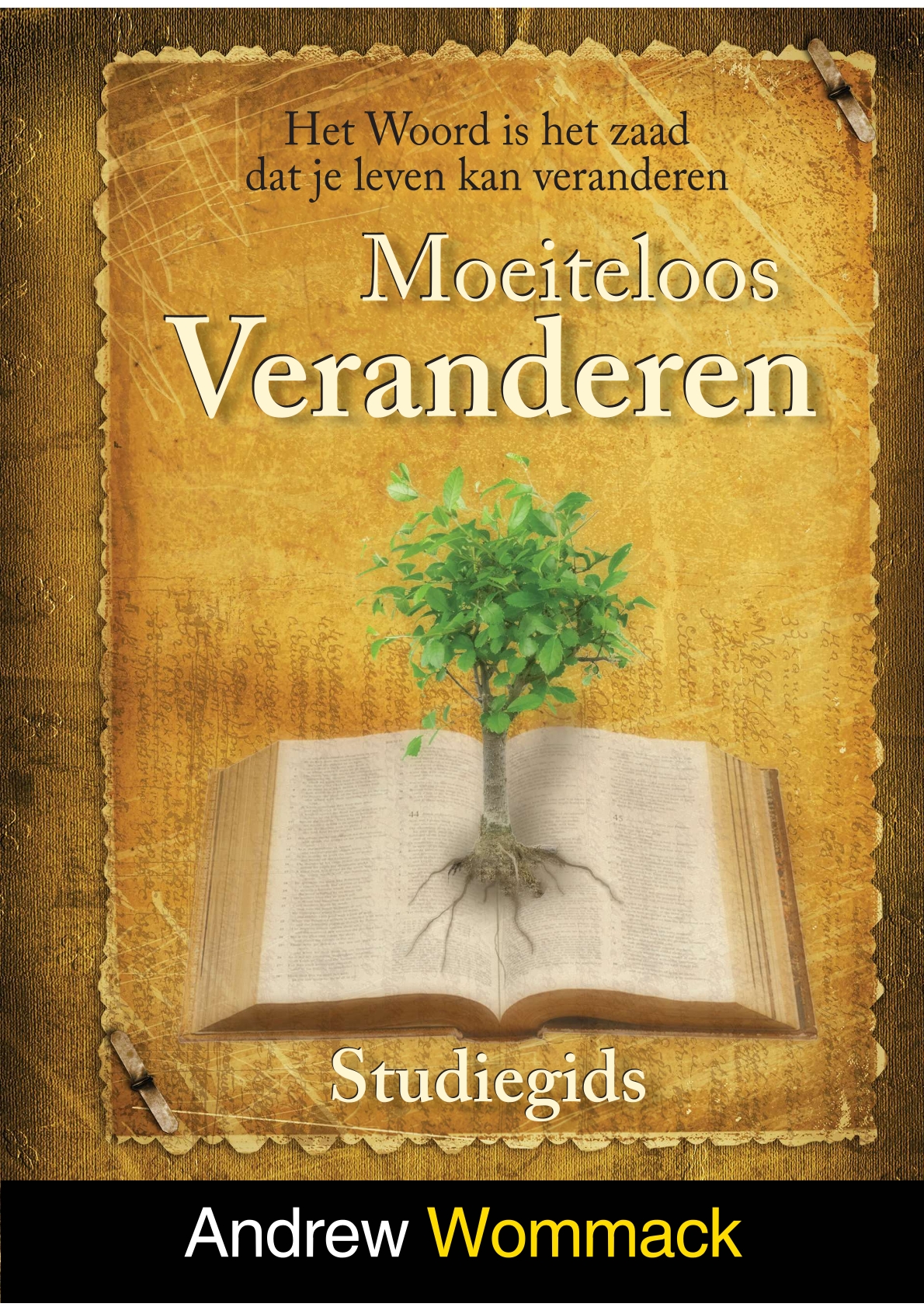 Productafbeelding: voorkant van Moeiteloos veranderen studiegids