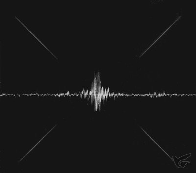 Productafbeelding: voorkant van We Will Not Be Shaken DELUXE (CD/DVD)