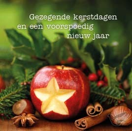 Productafbeelding: voorkant van Kerstkaart ster in appel gezegende kerst