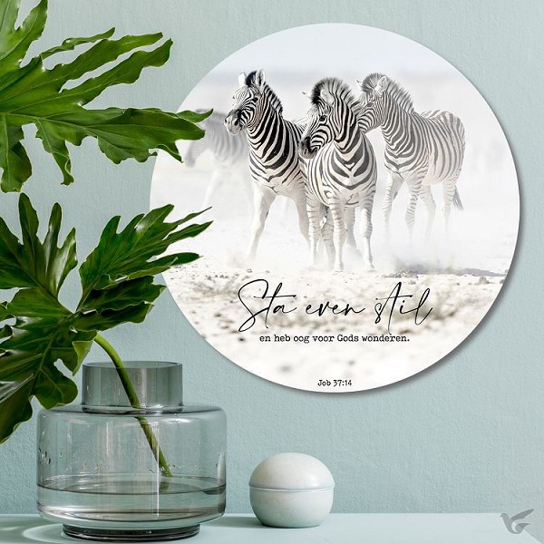 Productafbeelding: voorkant van Zebra's sta even stil