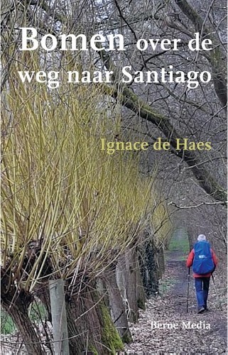Productafbeelding: voorkant van Bomen over de weg naar santiago