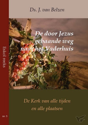 Productafbeelding: voorkant van Door Jezus gebaande weg