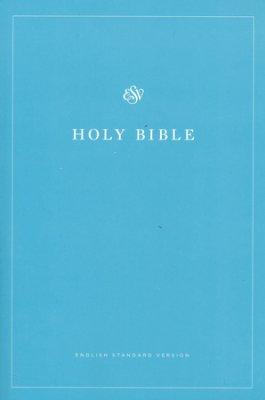 Productafbeelding: voorkant van Economy Bible - blue