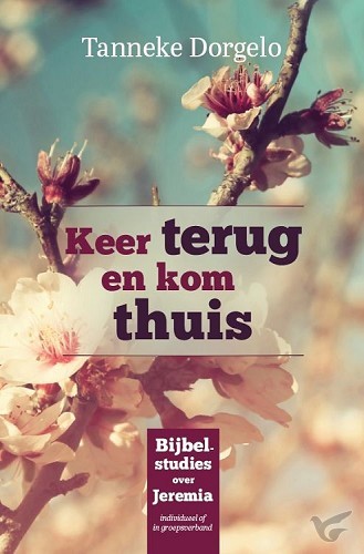 Productafbeelding: voorkant van Keer terug en kom thuis