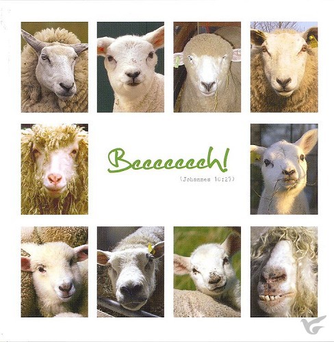 Productafbeelding: voorkant van Wenskaart beeeeeeh