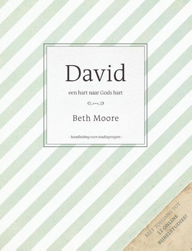 Productafbeelding: voorkant van David Handleiding