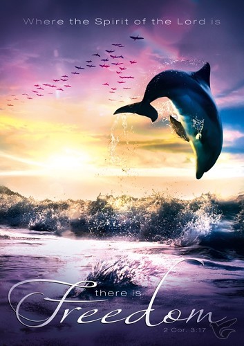 Productafbeelding: voorkant van Poster A3 freedom