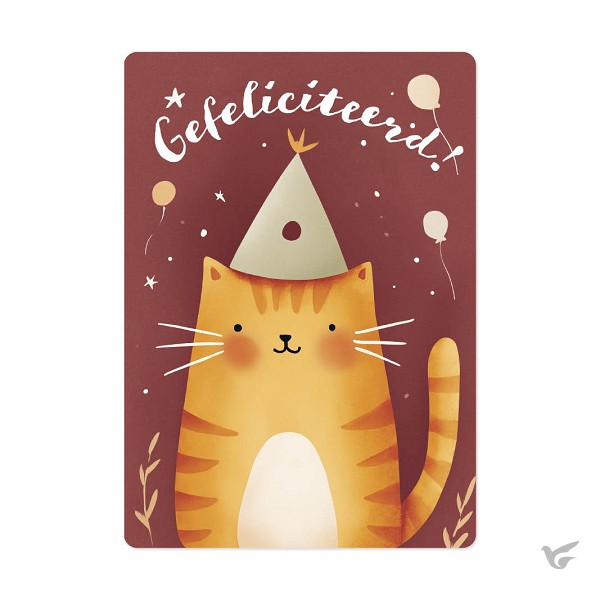 Productafbeelding: voorkant van Kaart Gefeliciteerd  kat