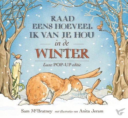 Productafbeelding: voorkant van Raad eens winter luxe pop-up