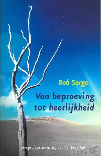 Productafbeelding: voorkant van Van beproeving tot heerlijkheid