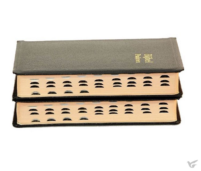 Productafbeelding: voorkant van Dameszakbijbel D33R RITMISCH kunstleer